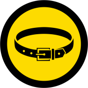 Cintura7